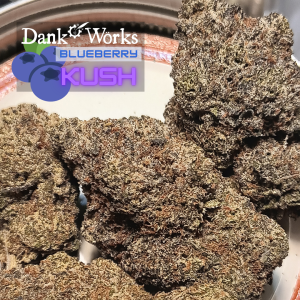 Blueberry Kush